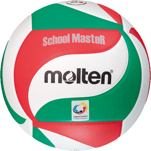 Molten SchoolMasteR Volleyball